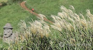 제주서 놀며 학점따기…'워케이션' 이어 '런케이션'도 뜬다