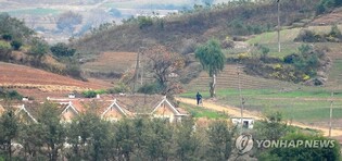 Over 3,700 N. Koreans visited Russia in Q3 for 'studies': RFA