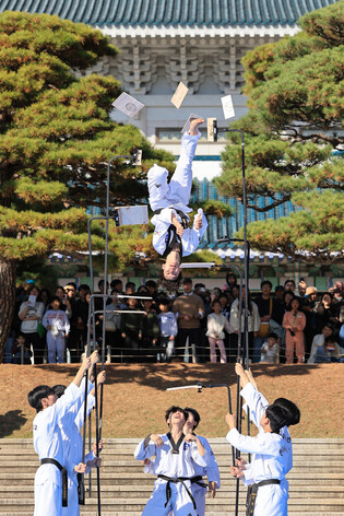 Taekwondo performance