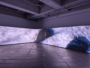 Media Facades: Beyond Spectacle, Towards Artistic Potential?
