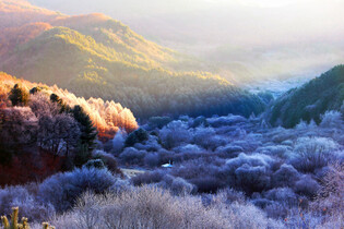 Secret Garden in Gangwon Province