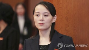 N.K. leader's sister again denounces 'political agitation' leaflets from South