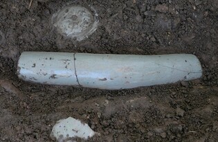 '휜 강진청자' 대평명 양각 해석류화문와, 전남도 문화유산 지정