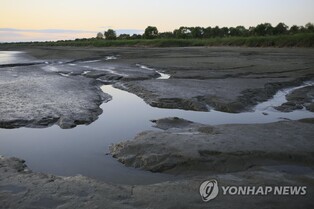 고양시 장항습지 '환경부 생태관광지역'에 선정