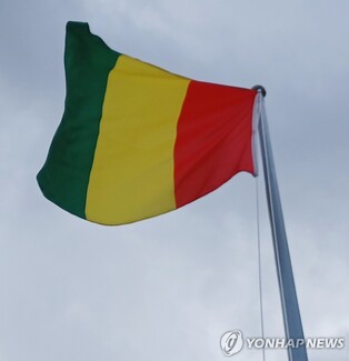 아프리카 기니서 축구경기 중 관중 충돌로 수십명 사망(종합)