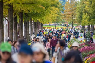 순천만 국가정원, 재개장 8개월만에 방문객 400만 돌파
