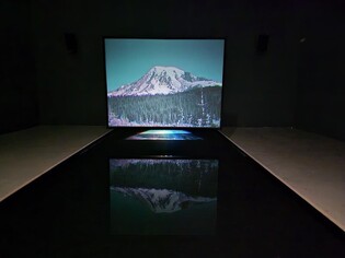 물이 흔들리니 멈춰 있던 산도 흔들린다…빌 비올라展