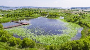 익산 용안생태습지, 친환경 생태관광지로 거듭난다