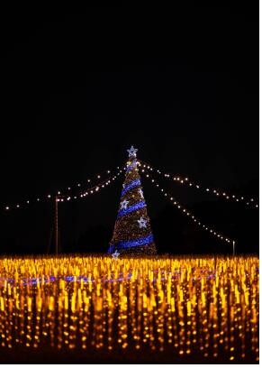 해맞이 명소 간절곶, 밤에도 빛난다…'빛으로 새긴 울주' 행사