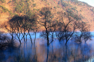 Fog-shrouded lake