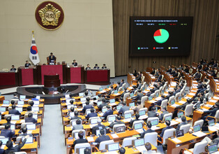 National Assembly approves special counsel for presidential probe