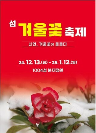 신안 압해읍 분재정원서 '섬 겨울꽃 축제'…한달간 이어져