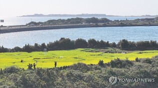 정국 혼란 연말연시 제주 관광에 직격탄 되나…관광객 주춤