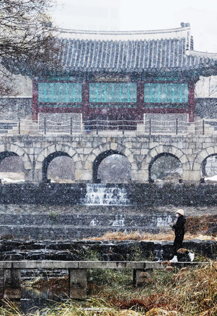 Snowing in Suwon