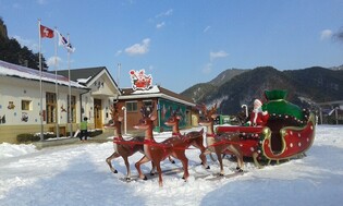 "동해산타열차 타고 성탄절 즐기세요" 코레일, 12회 추가 운행