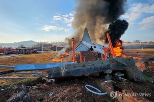 (LEAD) 28 dead as jet carrying 181 people crashes while landing in S. Korea's Muan