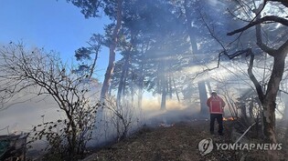 강릉 선교장 인근 산불 20여분 만에 진화…산림 100㎡ 소실(종합)