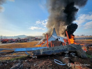 (LEAD) Bird strike warning issued shortly before Jeju Air plane crash in Muan: ministry