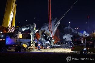 Acting President Choi announces national mourning period over deadly Muan plane crash