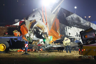 Search operations at Muan airport following crash