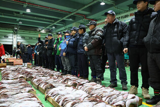 1st bidding at fish market in 2025