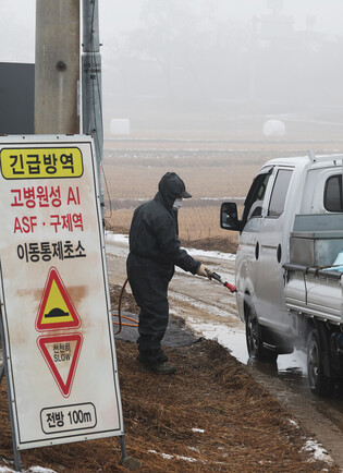 S. Korea confirms 20th bird flu outbreak of season