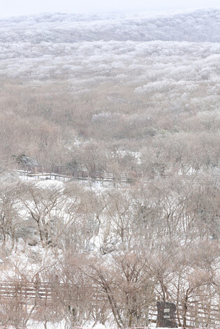 Snow-covered Mount Halla