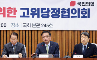 Ruling party-gov't meeting