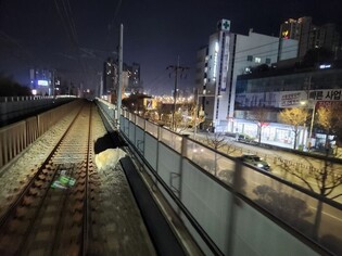 Boar spotted on railway tracks