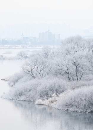 Hoarfrost forms on river