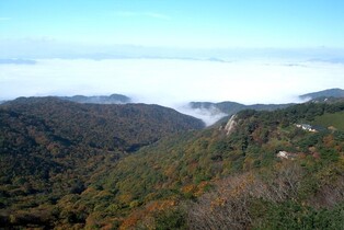 "을사년, 뱀 이야기 따라 명소 여행"…경북관광공사 6곳 선정