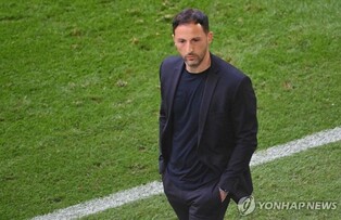 벨기에 축구대표팀 테데스코 감독 해임…후임에 앙리 등 물망