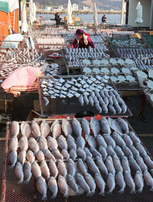 Drying fish