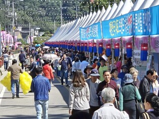 청주시, EDM·미식·호러 등 MZ세대 위한 축제 선보인다