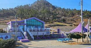 주민 100명 거주 신안 퍼플섬에 '연매출 1억 카페'