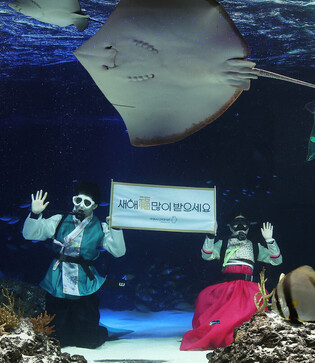 Underwater performance ahead of holiday