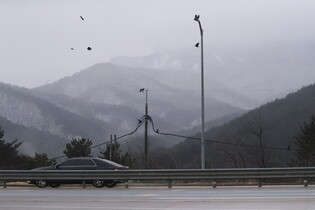 Snowy scene