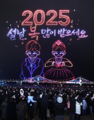 Lunar New Year's celebration