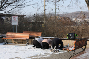 New Year's bow to separated family members in N. Korea