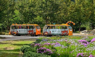 국립백두대간수목원·국립세종수목원 '한국관광 100선' 선정