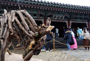 제주도, '제주도 지정 축제' 11개 선정해 집중 지원