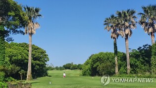 작년 제주 골프장 이용객 또다시 감소…경쟁력 약화