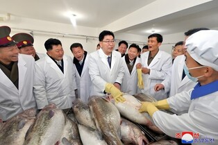 N. Korea's inauguration ceremony for regional factory