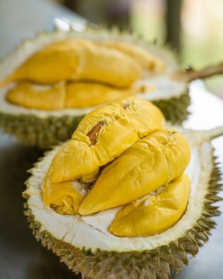 [여행소식] 냄새 고약한데…'두리안 투어리즘' 성공할까?