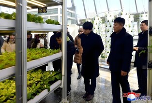 Vietnamese diplomats tour greenhouse complex in Pyongyang