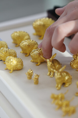 Gold price hits record high