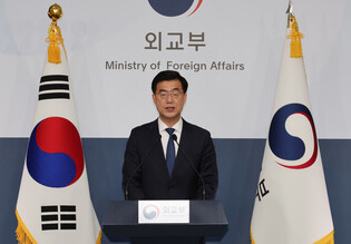 Foreign ministry's spokesman