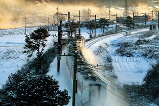 코레일 '태백산 눈축제 임시열차' 운행…9일과 16일 왕복 2회
