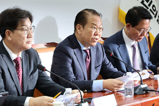 Ruling party's interim leader