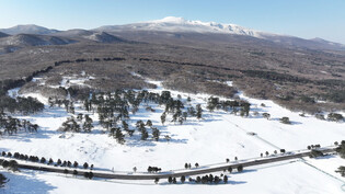 Snow-covered pasture on Jeju Island